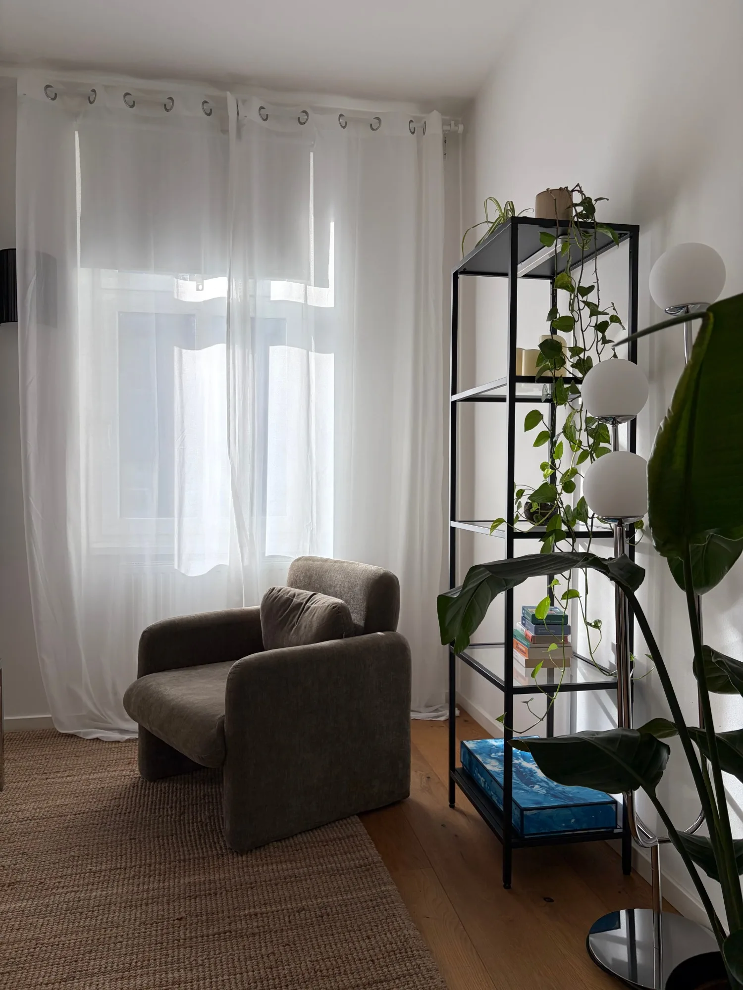 Sessel am Fenster in der Praxis von Mona Fink, daneben ein Regal mit Büchern und Pflanzen